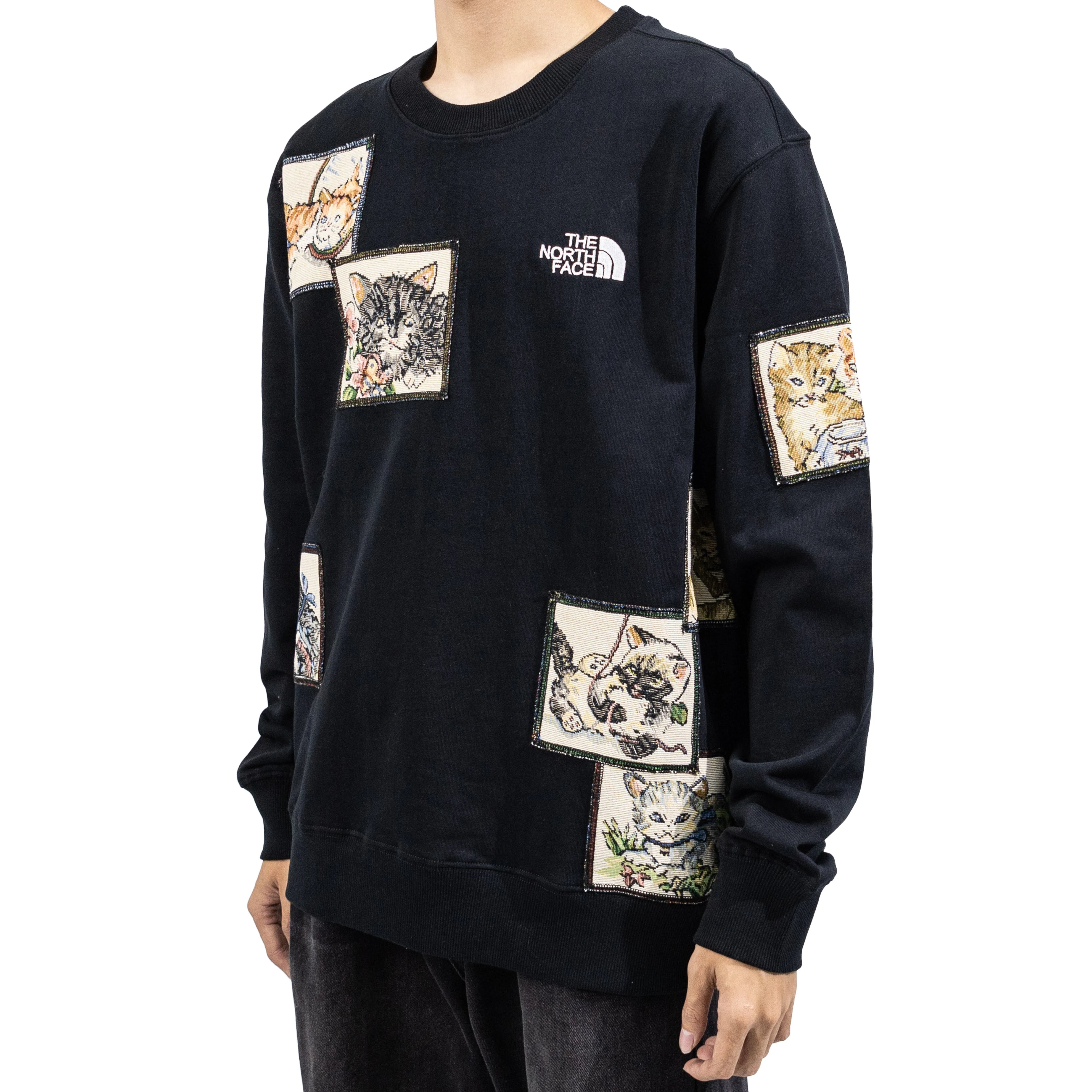 商品[国内直发] The North Face|【定制服装】北面 Fantasy 不可思议小猫乐园拼接图案百搭休闲宽松卫衣 男女同款 黑色,价格¥1704,第5张图片详细描述
