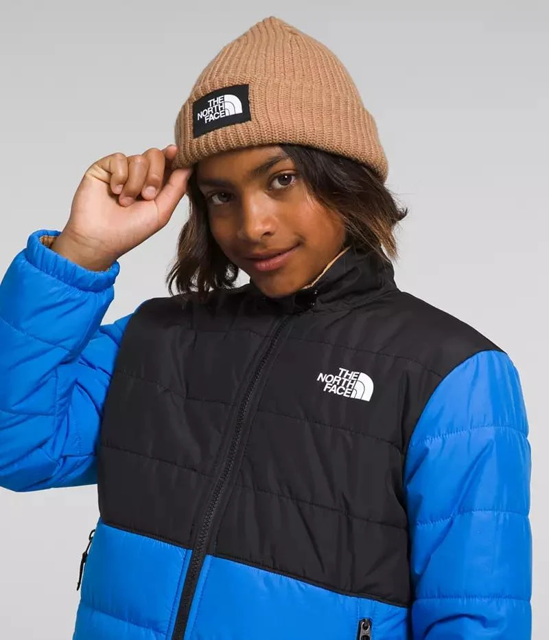 商品The North Face|The North Face Kids' Salty Lined Beanie,价格¥83,第2张图片详细描述