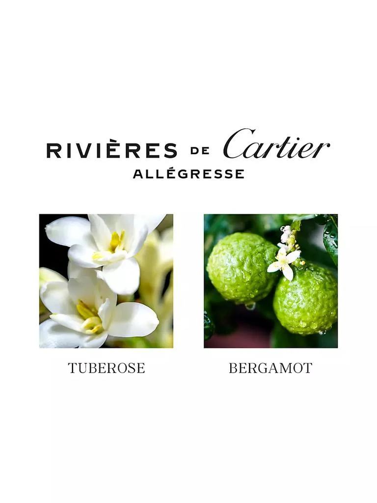 商品Cartier|Allègresse,价格¥879,第3张图片详细描述