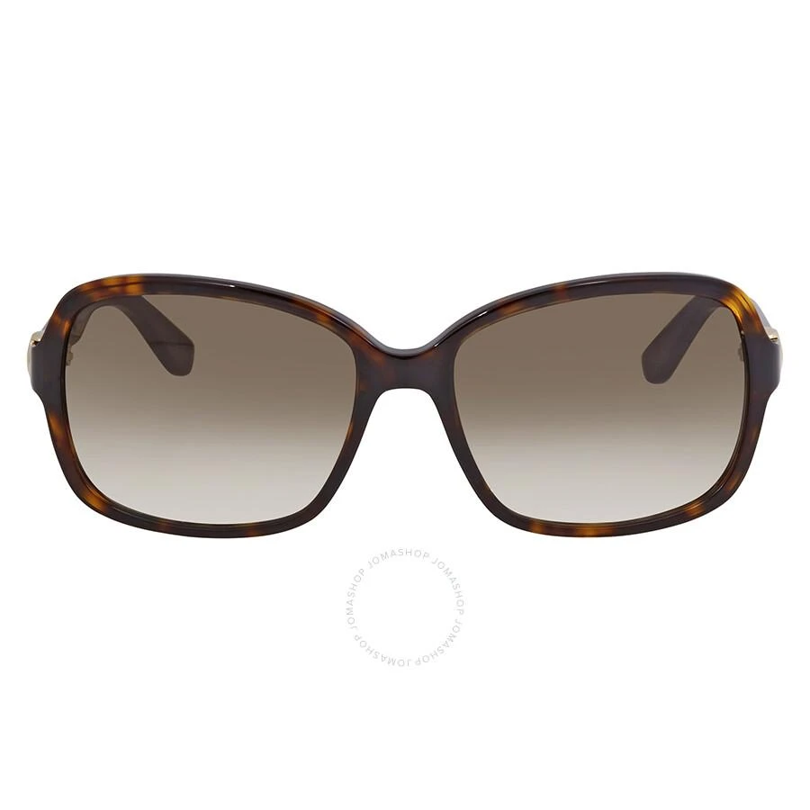 商品Salvatore Ferragamo|Tortoise Oval Sunglasses SF606S 214 58,价格¥315,第1张图片