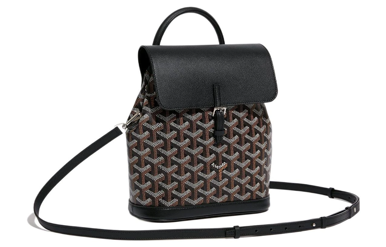 商品[国内直发] Goyard|戈雅 Alpin 老花满印可拆卸可调节肩带 帆布拼皮 书包背包双肩包 迷你 男女同款情侣款 黑色,价格¥29699,第4张图片详细描述