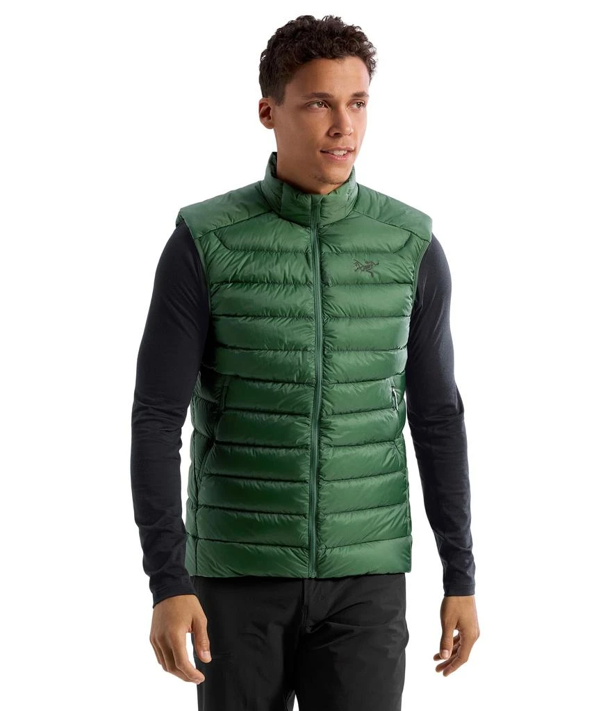 商品Arc'teryx|男士羽绒马甲,价格¥2151,第1张图片