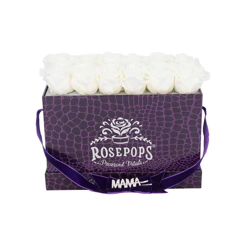 商品Rosepops|Pop-Up Crocodile Keeper by The Dozen,价格¥1570,第3张图片详细描述