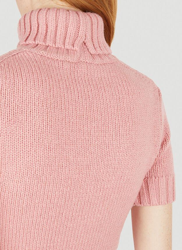 商品Acne Studios|Roll Neck Knit Top in Pink,价格¥1170,第7张图片详细描述