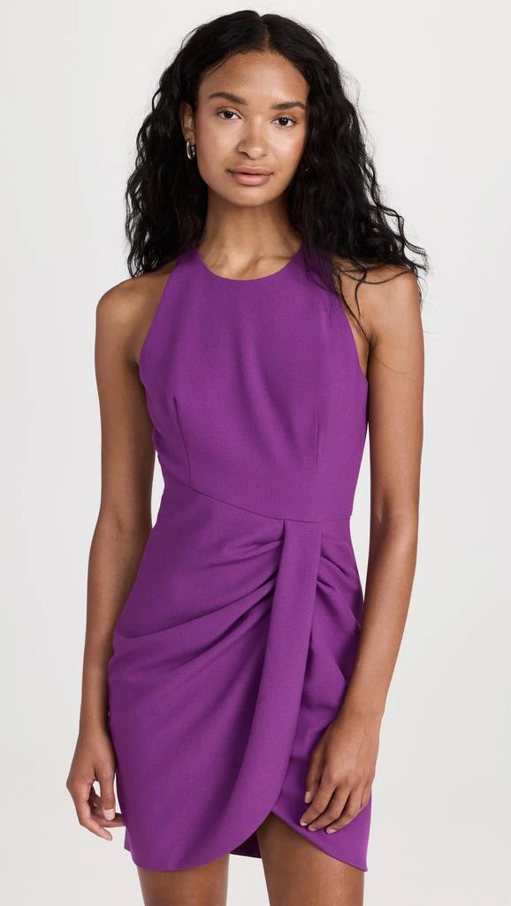 Brett Mini Dress 商品