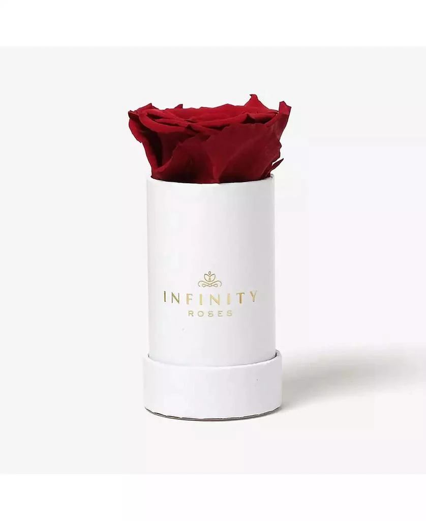 商品Infinity Roses|Single Red Real Rose Preserved To Last Over A Year,价格¥299,第1张图片