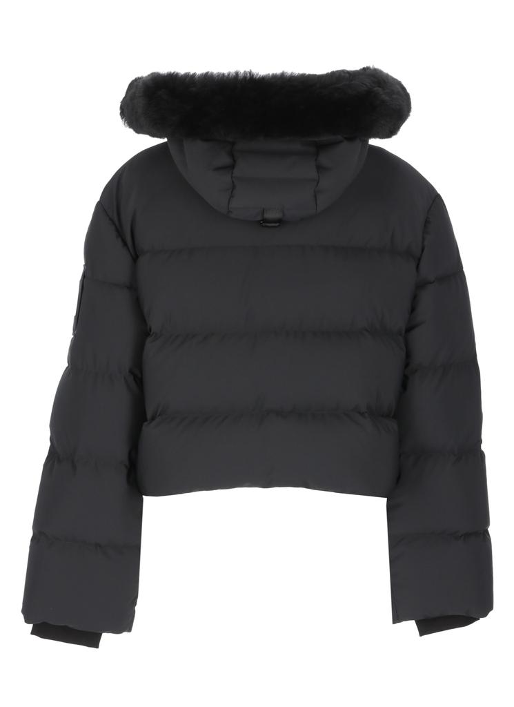 Moose Knuckles Eton Puffer Down Jacket商品第2张图片规格展示