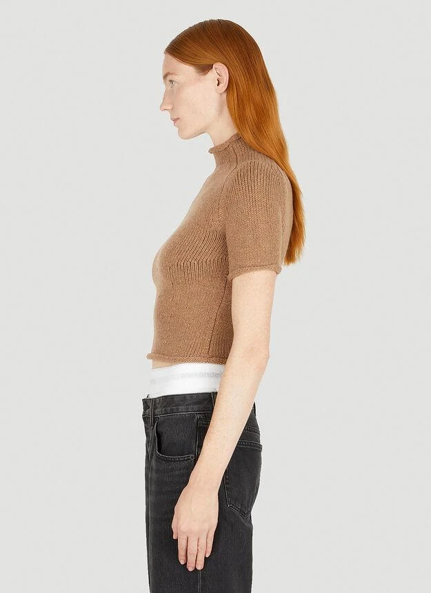 商品Alexander Wang|Compact Knit Top in Brown,价格¥1718,第3张图片详细描述