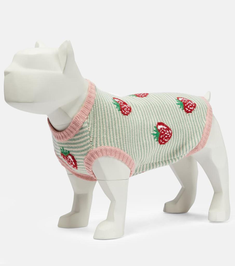 Exclusive to Mytheresa – Strawberry intarsia-knit dog coat商品第3张图片规格展示