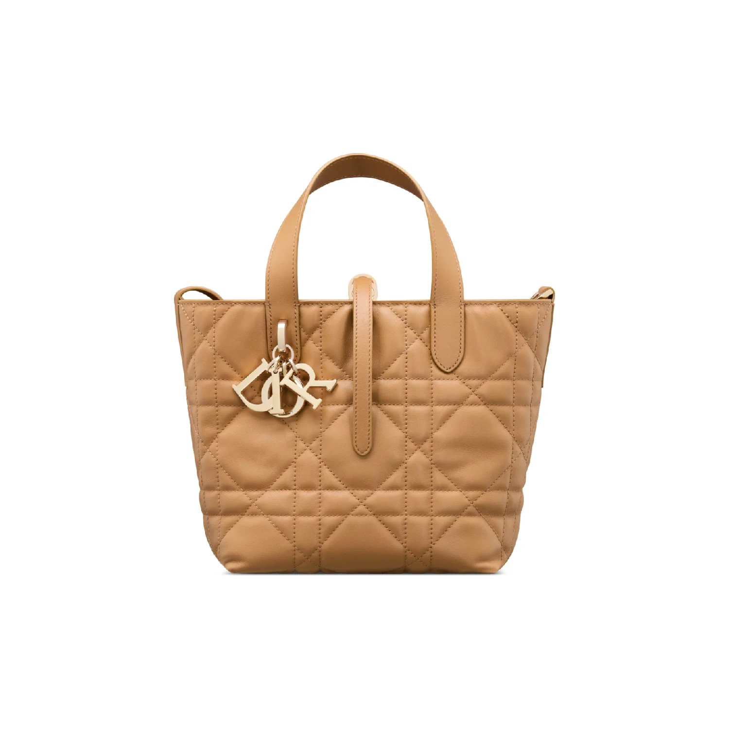 【预售】 迪奥 25春夏 女士 手提包 小号 Dior Toujours 竖版手袋 M2835OSNW_M34U  商品