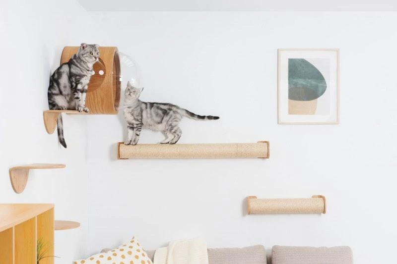 商品MyZoo|Cylinder Replacement, Accessories: Extend Cat scratcher, Scratching Post To Two Times Length,价格¥491,第2张图片详细描述