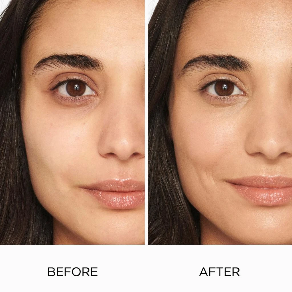 Tinted Moisturizer Natural Skin Perfector SPF 30 商品