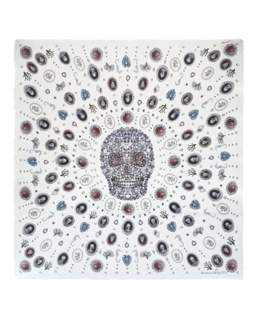 商品Alexander McQueen|Lost At Sea Scarf,价格¥1522,第1张图片