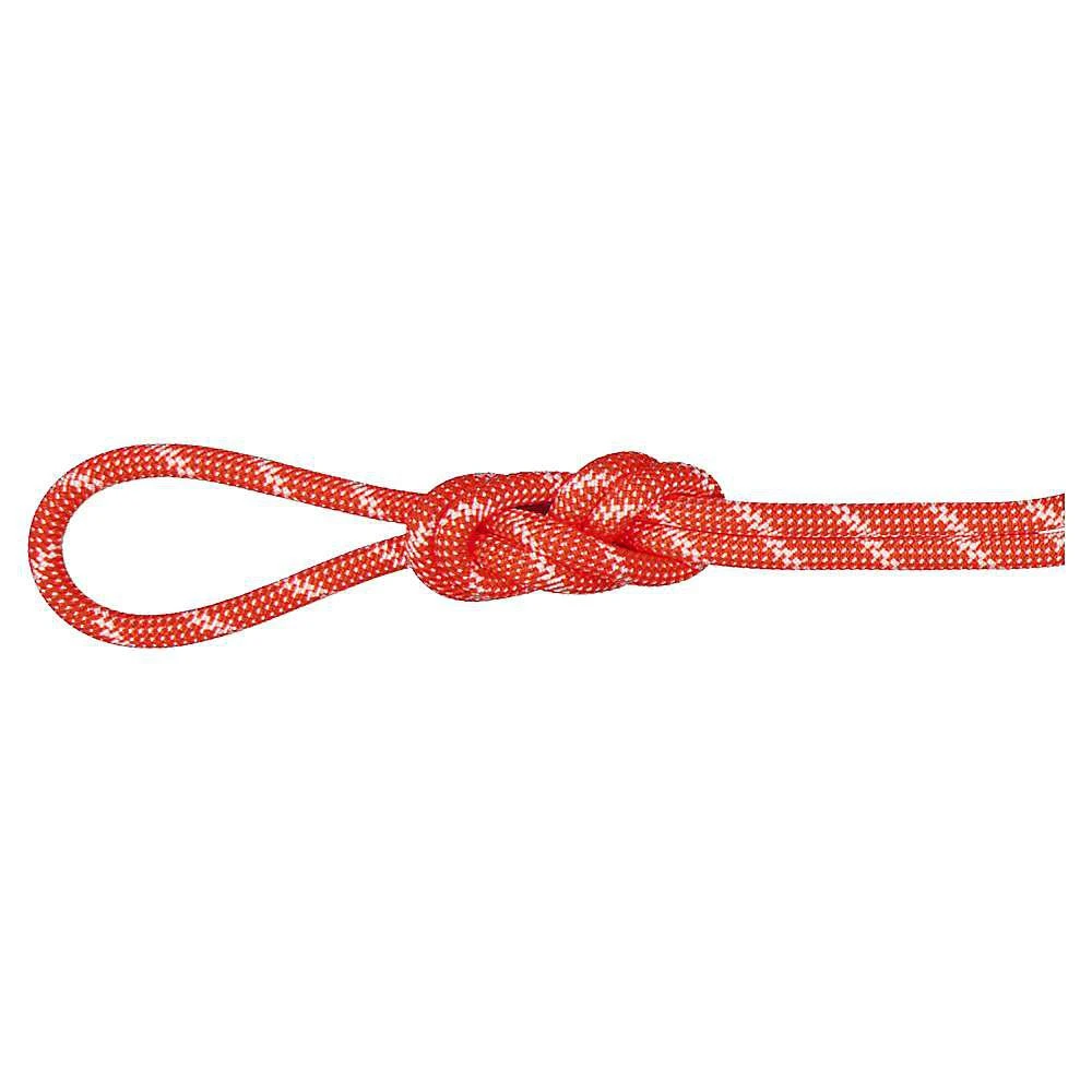 商品Mammut|Mammut 8.0 Alpine Classic Rope,价格¥954,第3张图片详细描述