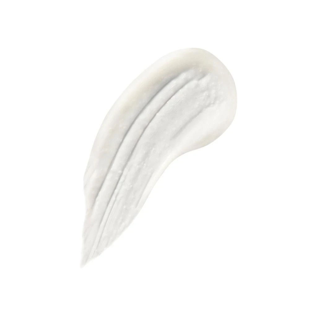 商品Christophe Robin|Hydrating Cream Scrub wtih Aloe Vera,价格¥349,第2张图片详细描述