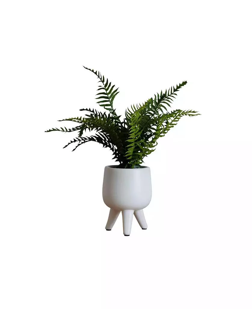 商品Nature's Elements|Desktop Artificial Palm in Decorative Ceramic Pot, 17",价格¥307,第1张图片