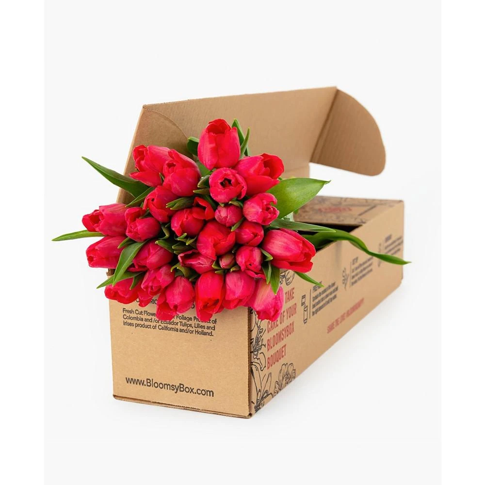 商品BloomsyBox|Radiant Red Tulips Fresh Flower Bouquet,价格¥413,第2张图片详细描述