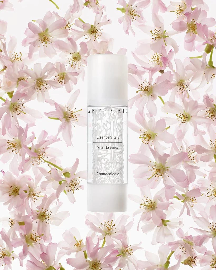 商品Chantecaille|花妍活肤精华液 50 mL,价格¥1001,第3张图片详细描述