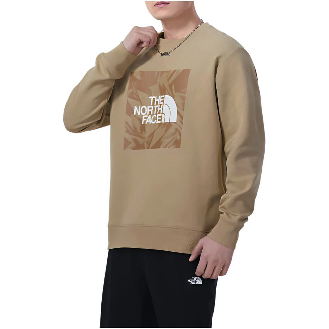 商品[国内直发] The North Face|北面 龙年限定系列 品牌logo印花图案圆领套头卫衣 男款 卡其色,价格¥651,第4张图片详细描述