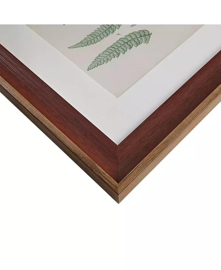 商品Martha Stewart|Martha Stewart Lady Fern Collection Single Mat Framed Graphic 3-Pc Set,价格¥1660,第3张图片详细描述
