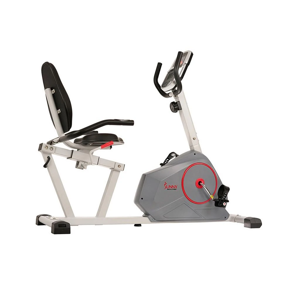 Recumbent Bike, Sf-Rb4953 商品