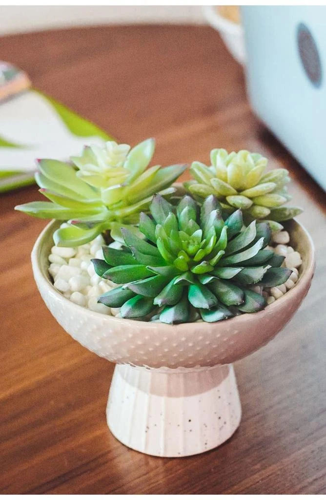 商品FLORA BUNDA|Beige/Cream Faux Succulent Mix Bowl,价格¥297,第2张图片详细描述