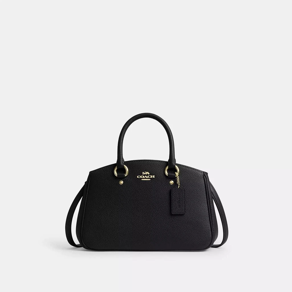 Savannah Small Carryall Bag 商品