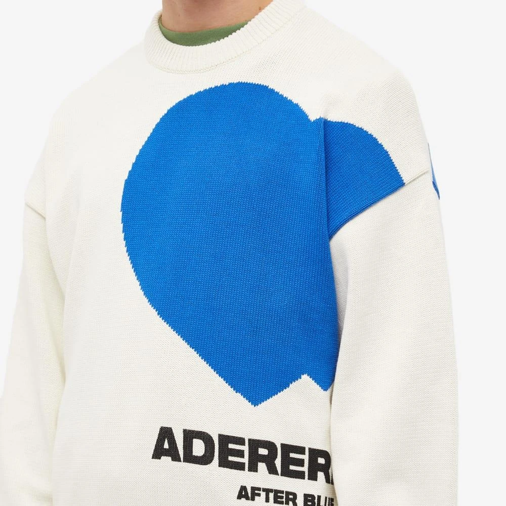 商品ADER error|ADER Error Together Logo Crew Knit,价格¥2606,第5张图片详细描述