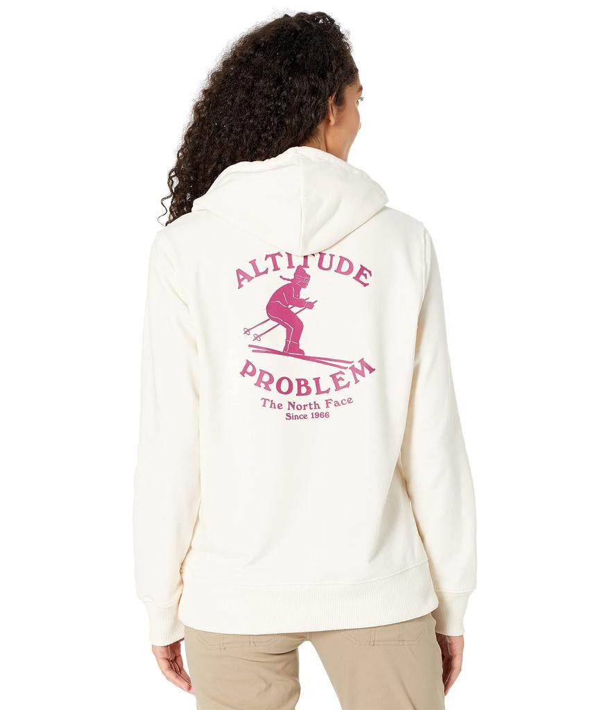 Altitude Problem Hoodie商品第2张图片规格展示