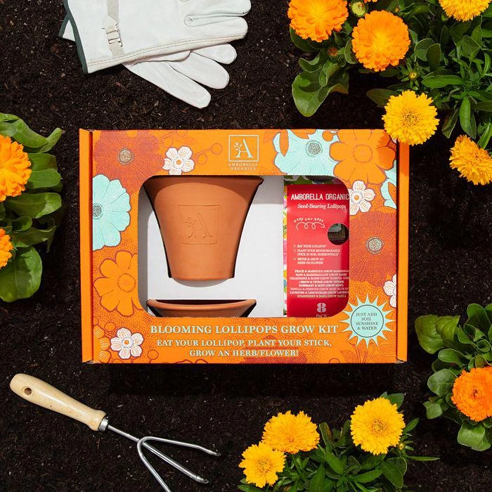 商品Amborella Organics|Blooming Lollipops Grow Kit,价格¥359,第2张图片详细描述