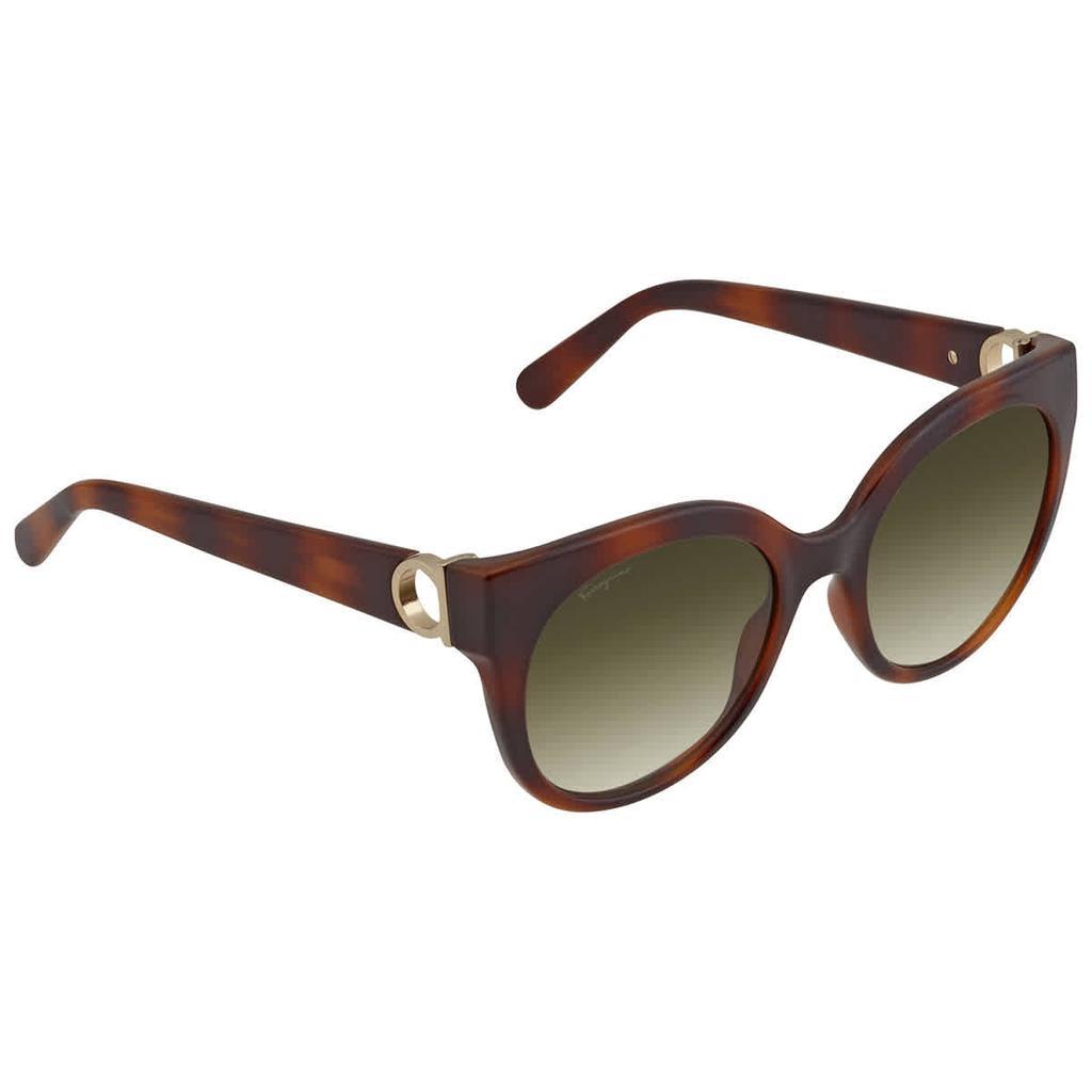 商品Salvatore Ferragamo|Salvatore Ferragamo Green Cat Eye Ladies Sunglasses SF1031S 214 53,价格¥373,第1张图片