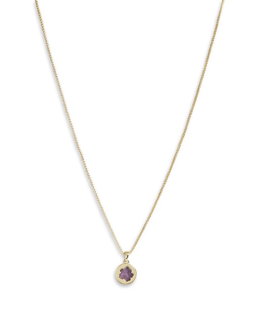 商品Ted Baker London|Peresta Magnolia Adjustable Pendant Necklace, 19",价格¥301,第1张图片