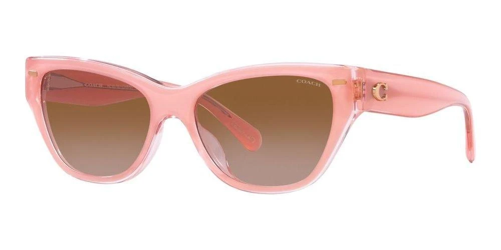 商品Coach|Coach Cat-Eye Frame Sunglasses,价格¥873,第2张图片详细描述