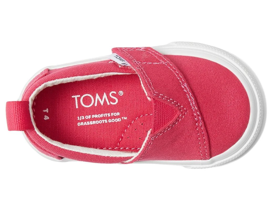 商品TOMS|Tiny Alpargata Fenix Slip-On Canvas (Toddler/Little Kid),价格¥256,第2张图片详细描述