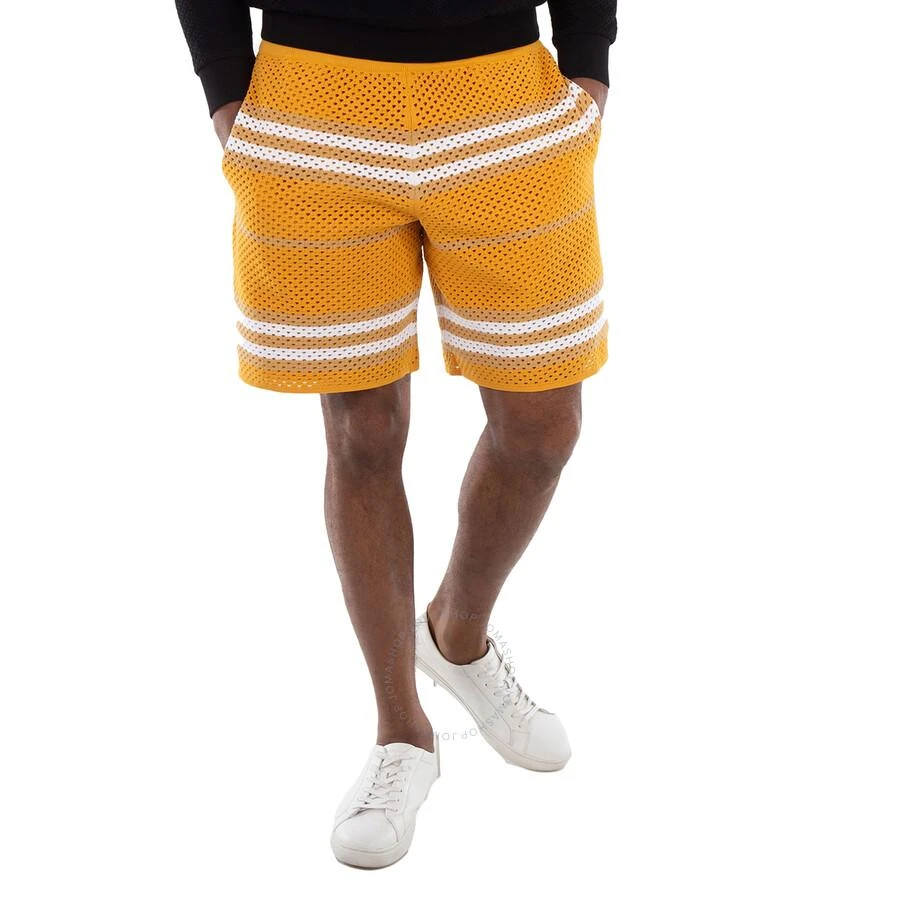 商品Burberry|Marigold Morriss Icon Stripe Pointelle Knit Shorts,价格¥1072,第1张图片