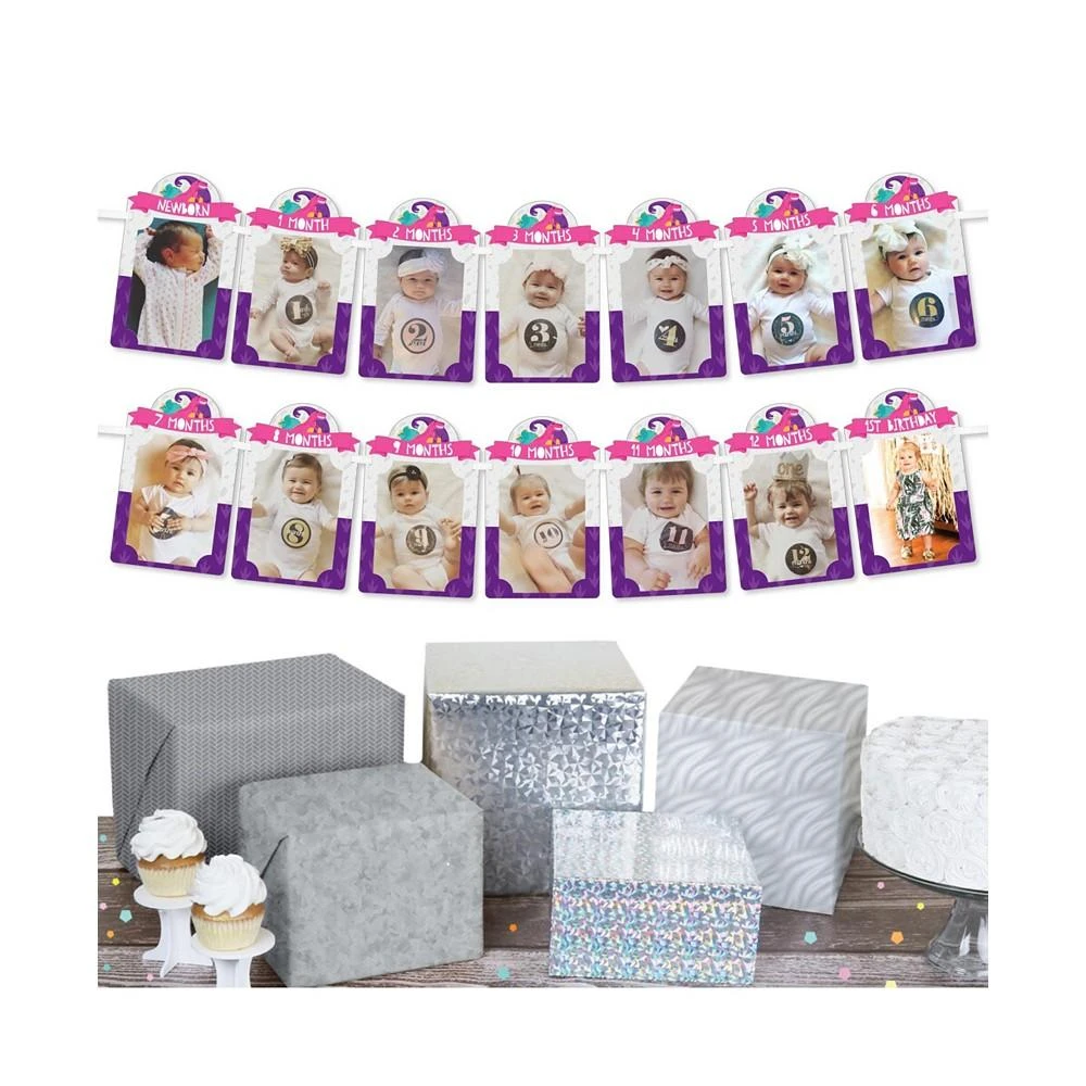 商品Big Dot of Happiness|1st Birthday Roar Dinosaur Girl - DIY 1-12 Monthly Picture Display Photo Banner,价格¥119,第2张图片详细描述