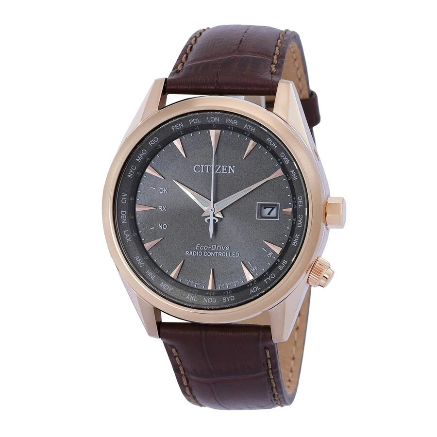 商品Citizen|Perpetual World Time GMT Eco-Drive Grey Dial Men's Watch CB0273-11H,价格¥2402,第1张图片