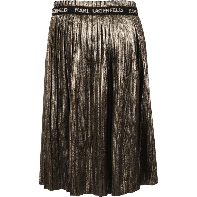 Branded waist band shiny pleated skirt in golden商品第2张图片规格展示