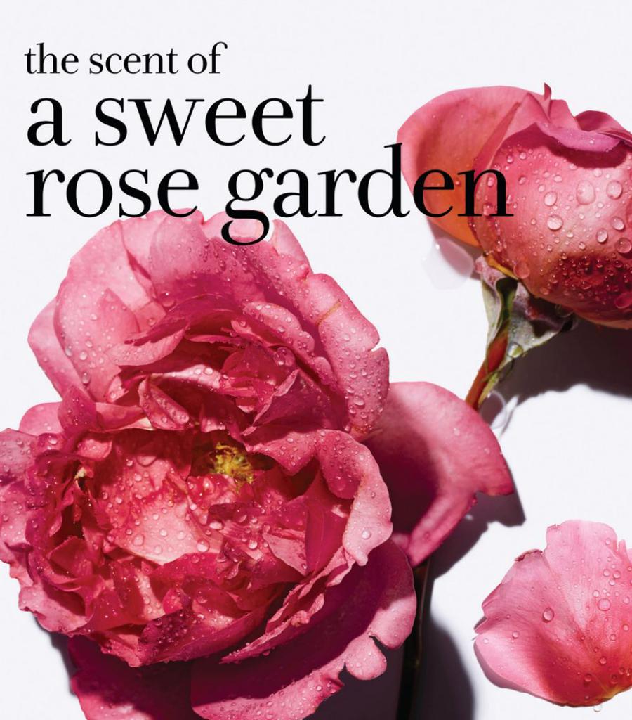 Rose Hydration Face Cream (50ml)商品第9张图片规格展示