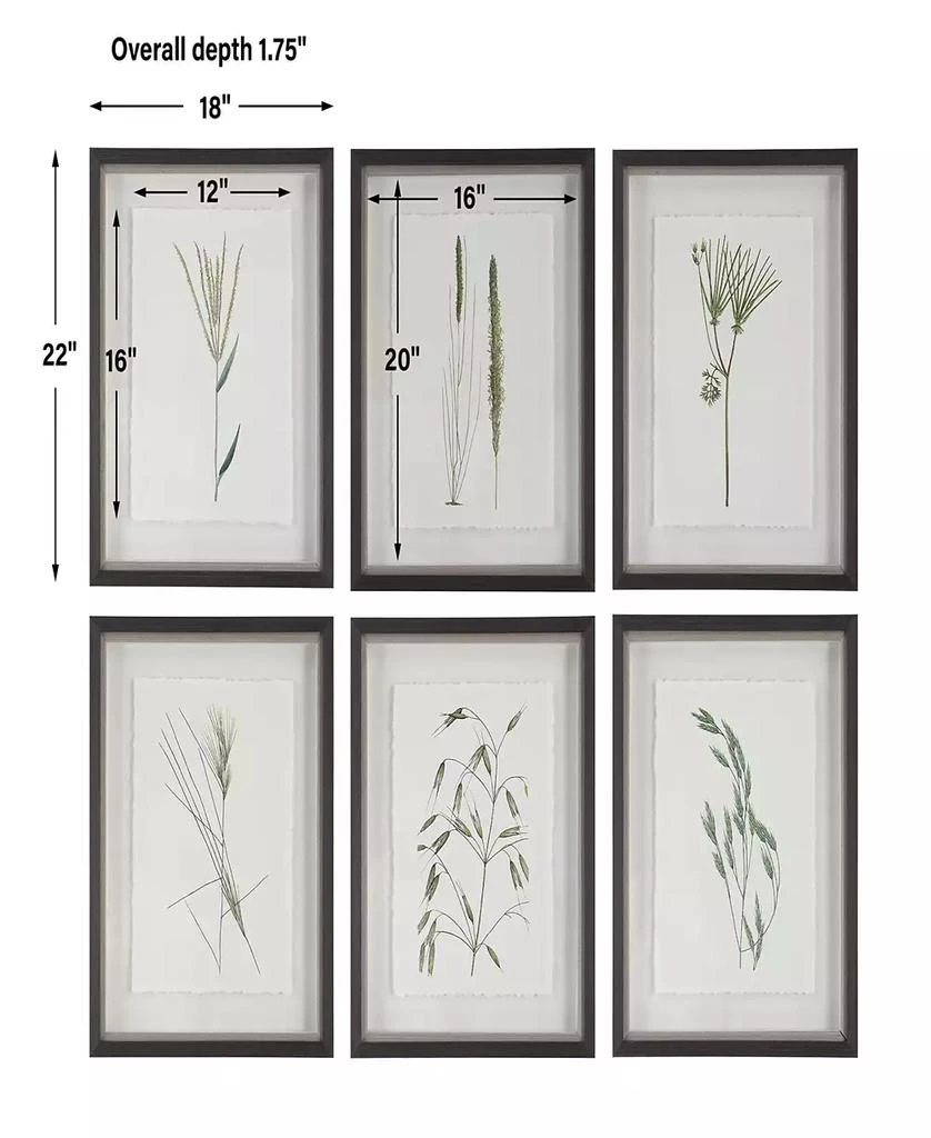 商品Uttermost|Forest Finds Framed Prints Art, Set of 6,价格¥4764,第4张图片详细描述