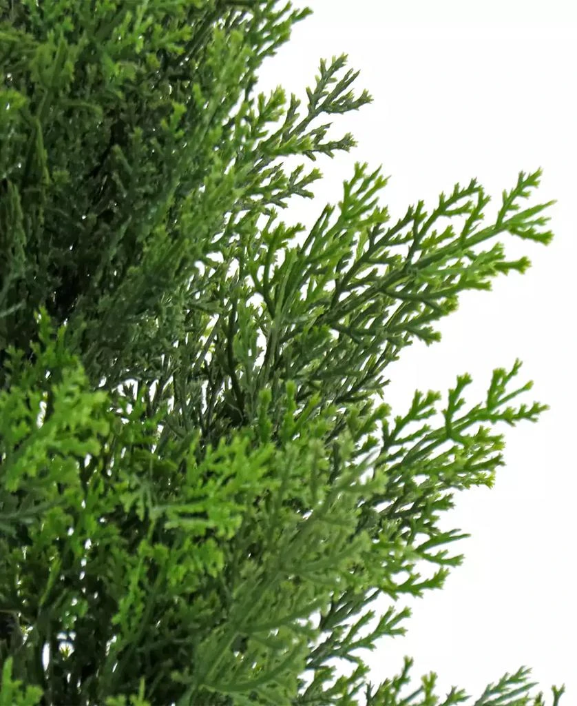 商品National Tree Company|38 Cedar Tree in Dark Green Round Growers Pot,价格¥379,第3张图片详细描述