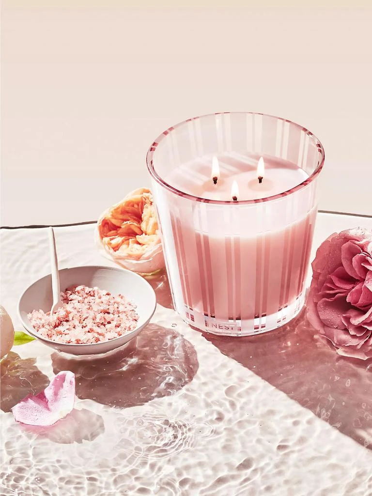 商品NEST New York|Wellness Himalayan Salt & Rosewater 3-Wick Candle,价格¥638,第3张图片详细描述