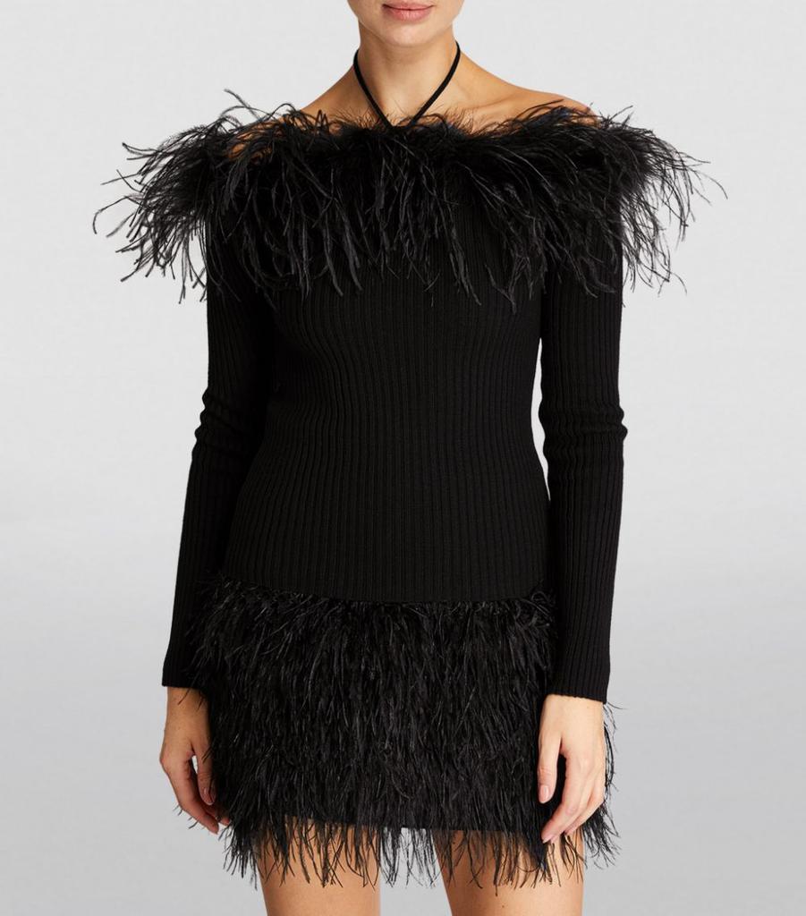 Feather-Trimmed Off-The-Shoulder Sweater商品第3张图片规格展示
