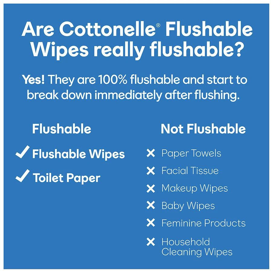 Fresh Care Flushable Wet Wipes 商品
