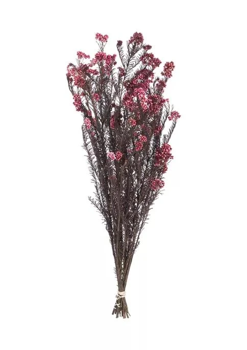 商品Vickerman|Wild Berry Rice Flower 4-5 Ounce,价格¥351,第1张图片