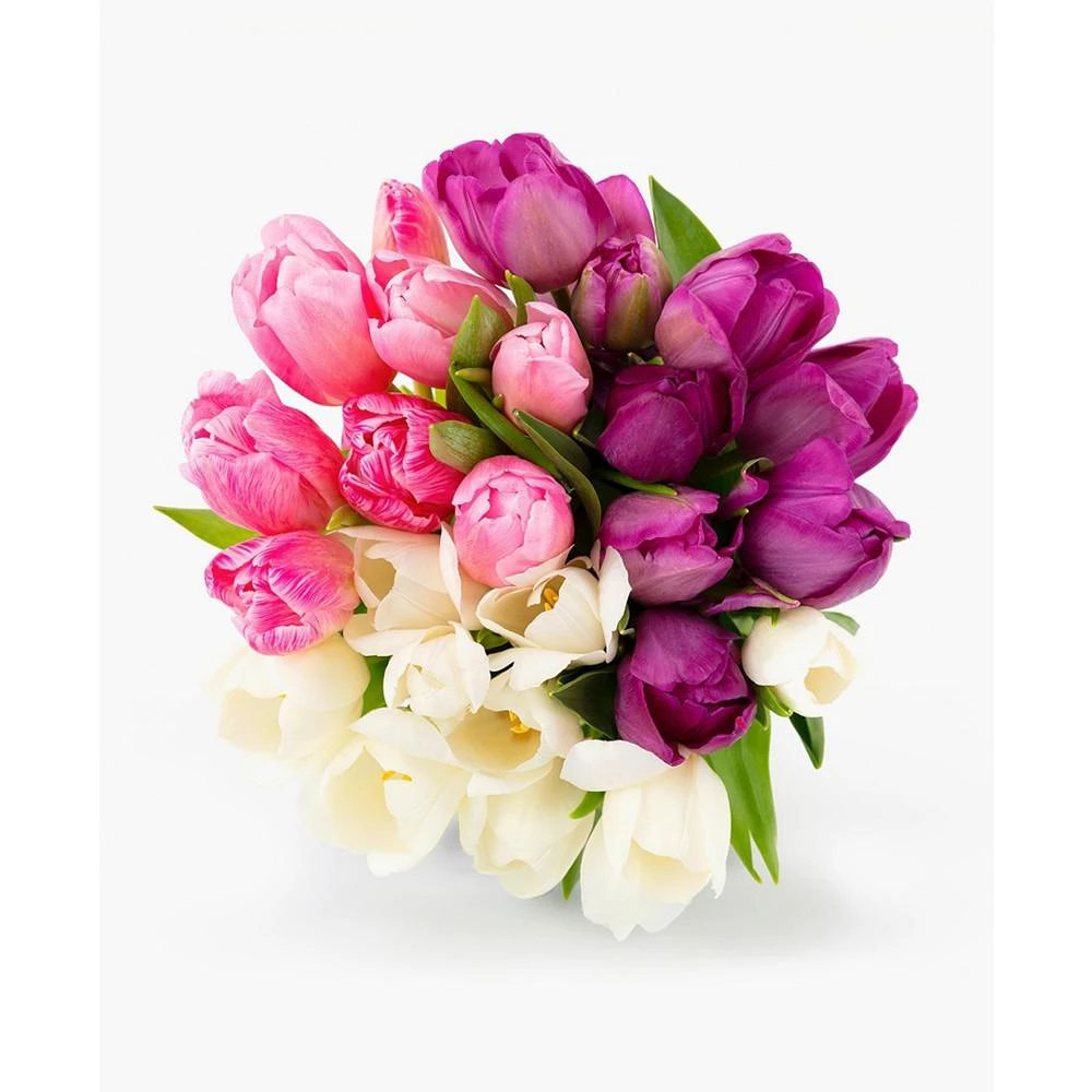 商品BloomsyBox|Sweet Tulips Fresh Flower Bouquet,价格¥413,第1张图片