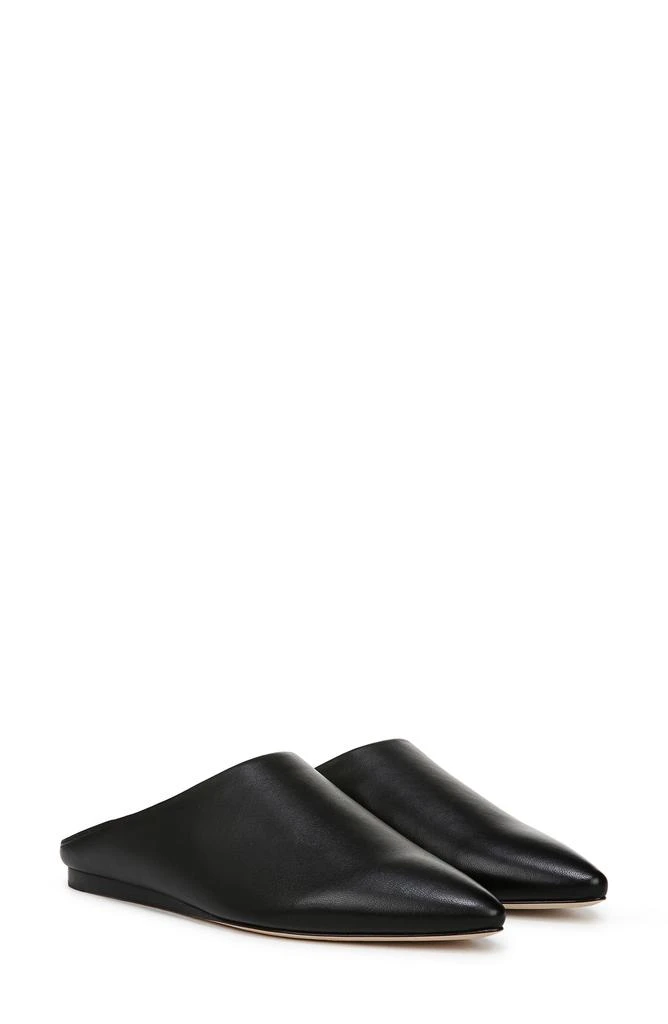 Cayslip Pointed Toe Mule 商品