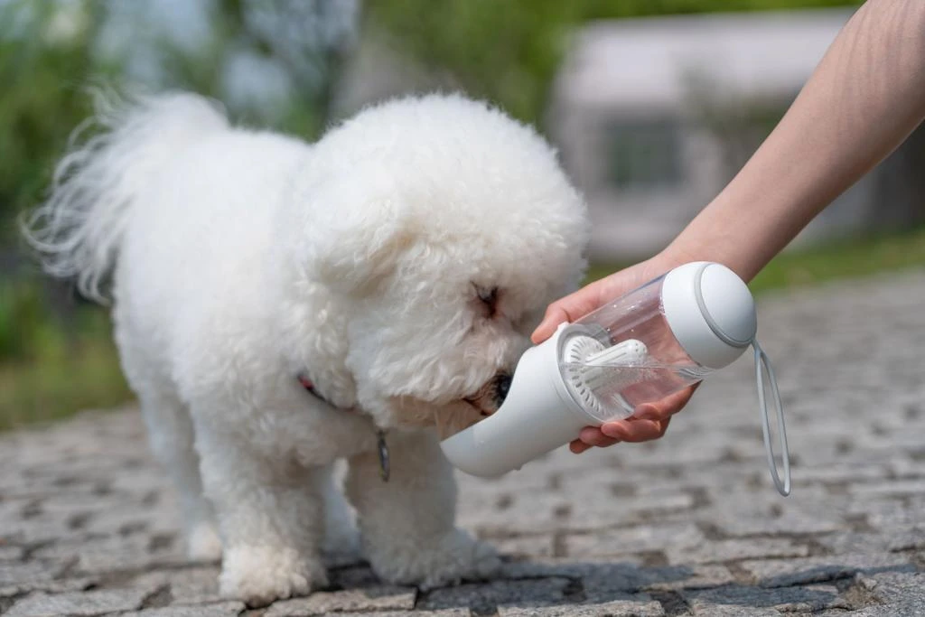 商品Pet Life|'PYURE' Handheld Travel Filtered Water Feeder,价格¥226,第2张图片详细描述