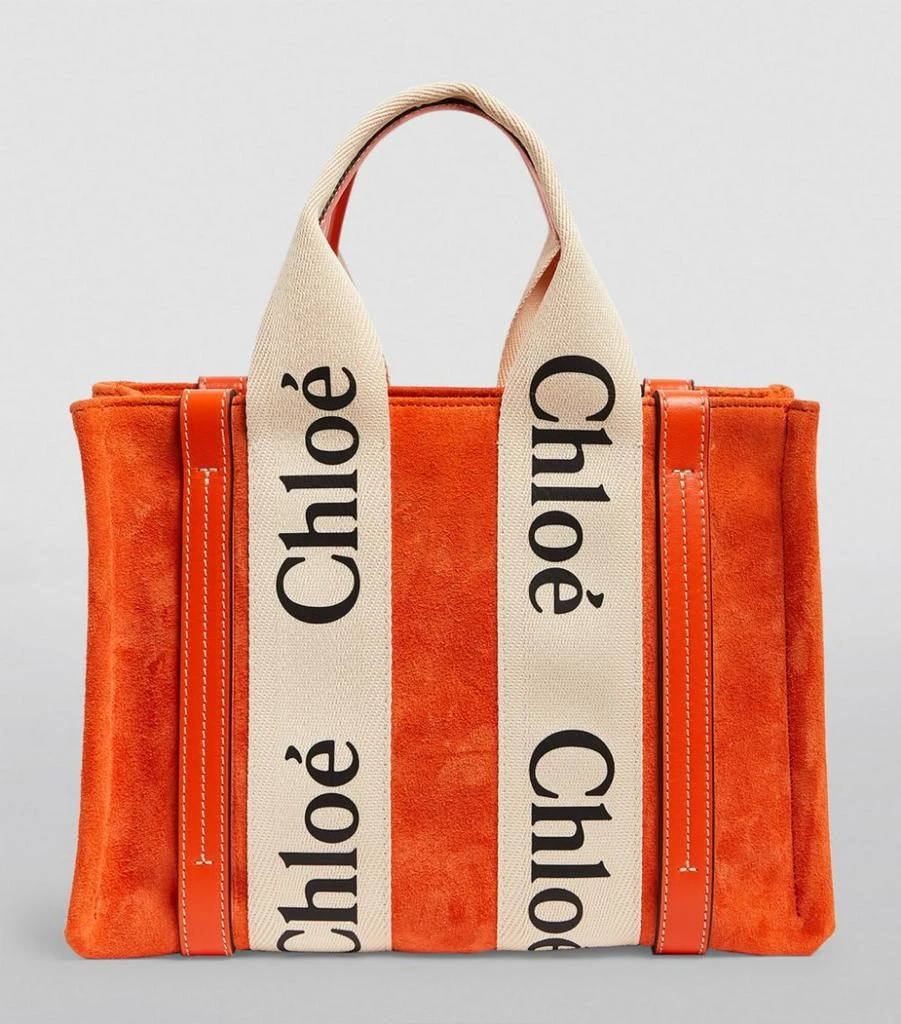 商品Chloé|Small Suede Woody Tote Bag,价格¥9386,第4张图片详细描述