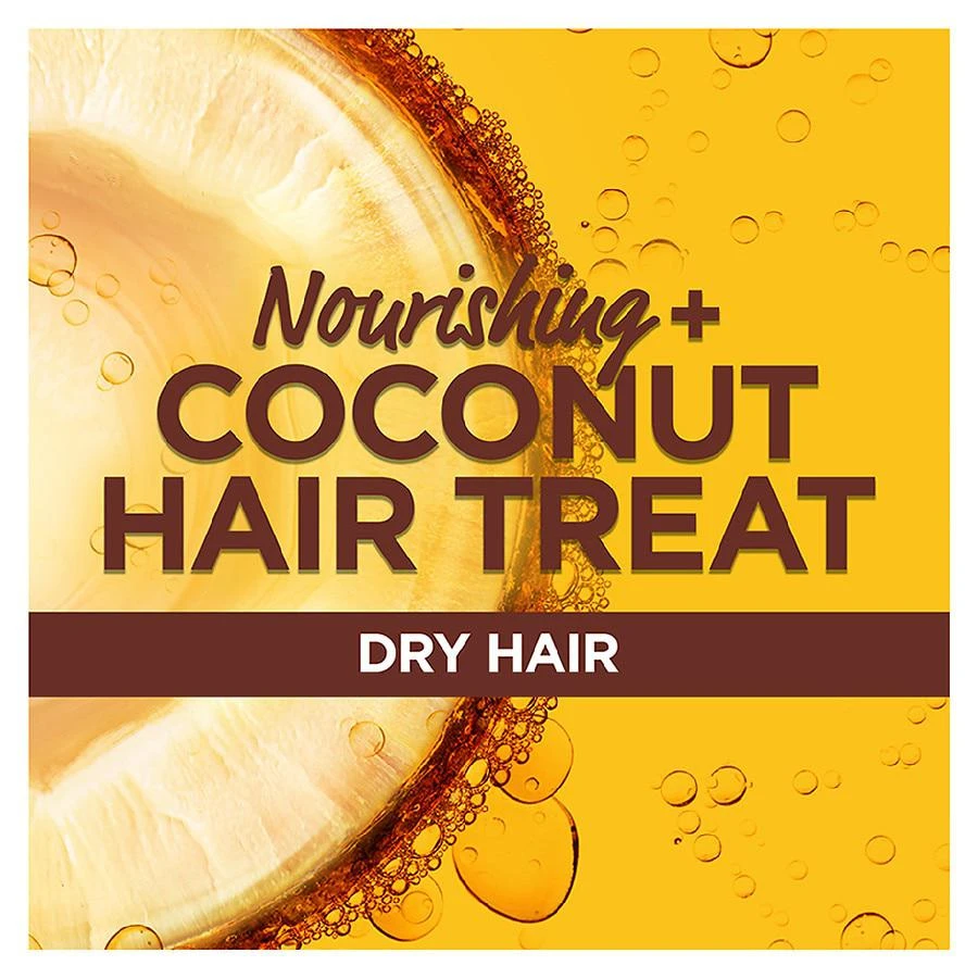 商品Garnier Fructis|Nourishing Treat Shampoo, For Dry Hair, Coconut,价格¥44,第5张图片详细描述